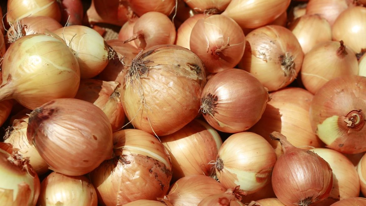 Onion Prices Dramatically Increases Because of Stagnant Growing Season